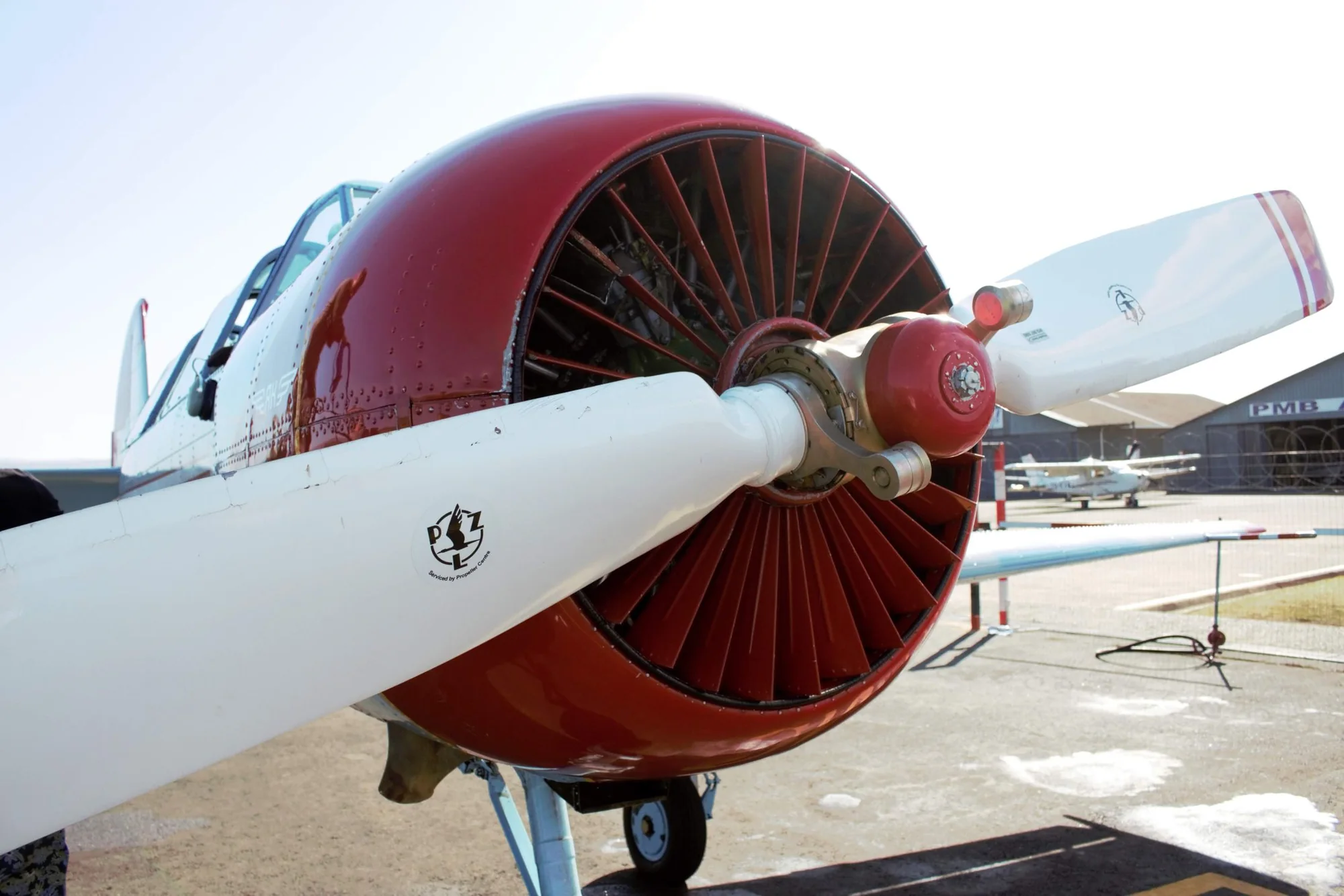 The radial engine and propeller of a vintage aircraft